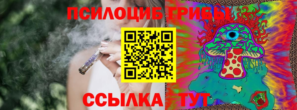 Галлюциногенные грибы GOLDEN TEACHER Йошкар-Ола